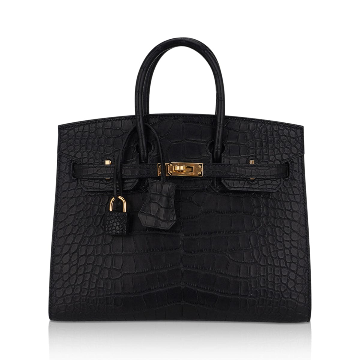 Hermes Birkin 25 Sellier Bag in Black Matte Alligator with Gold Hardwa –  Mightychic