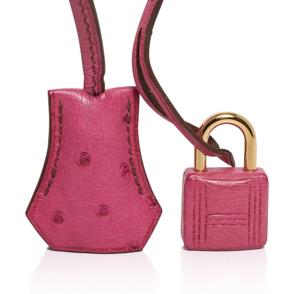 Hermes Birkin HSS 25 Bag Beton w/ Pink Rose Pourpre Brushed Gold Hardw –  Mightychic
