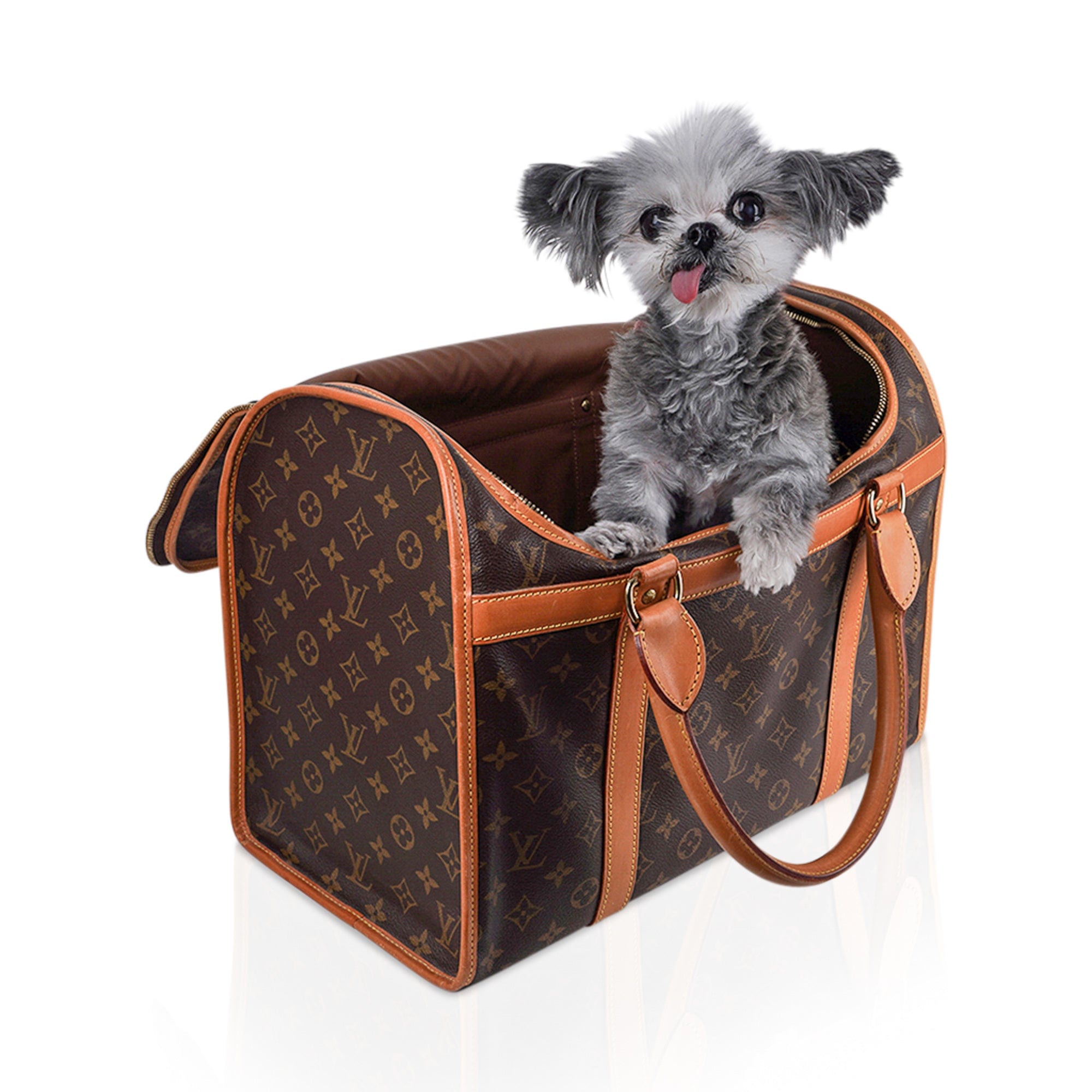 Stylish Louis Vuitton Pet Carrier - The Rich Times