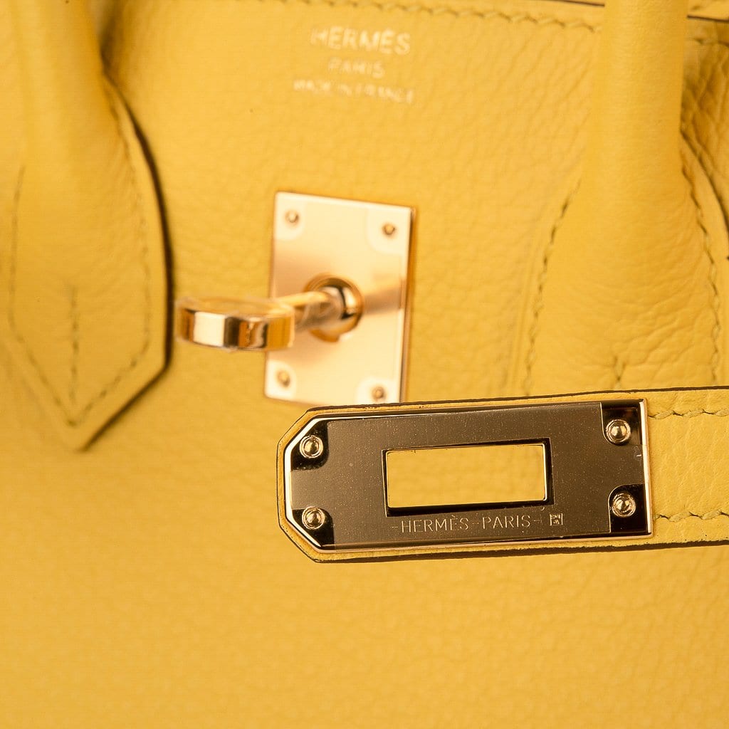 Hermes Birkin 25 Bag Jaune de Naples Novillo Gold Hardware – Mightychic
