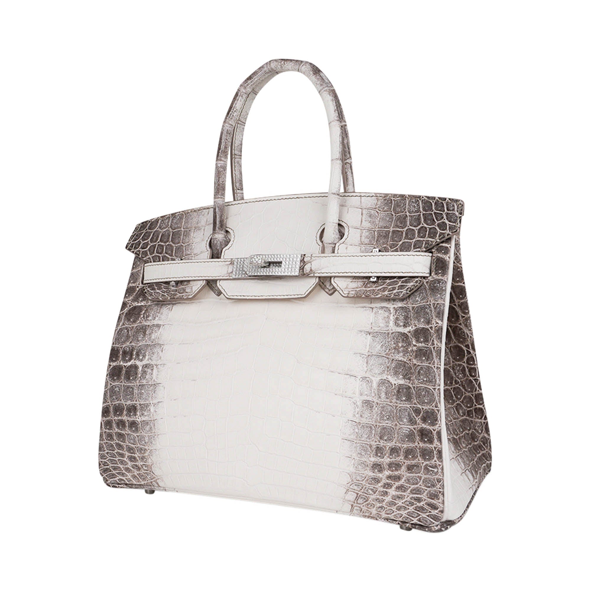 Hermes Birkin 30 Bag Diamond Himalaya Blanc Matte Niloticus Crocodile with 18k White Gold Hardware