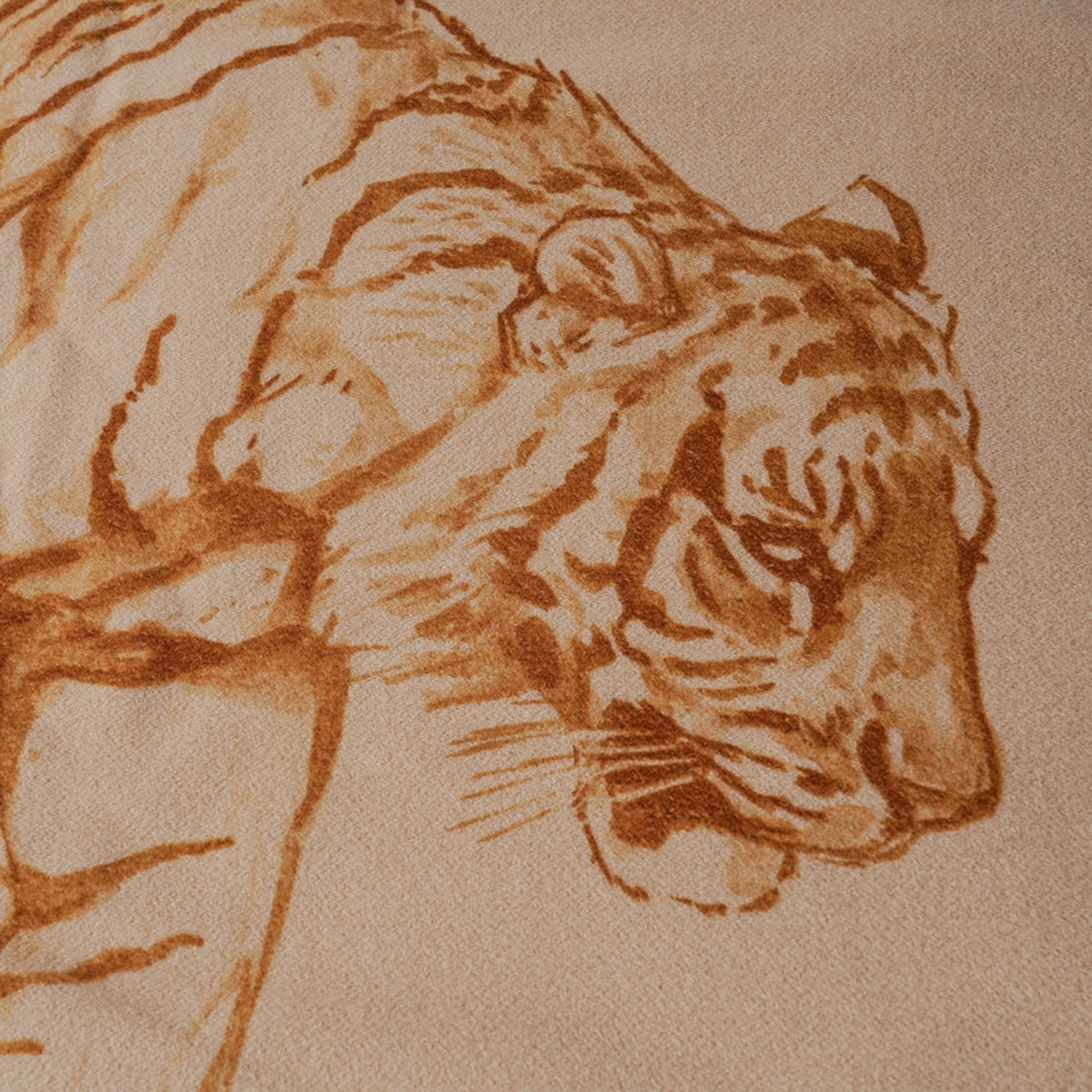 Hermes Croquis De Tigre Blanket Naturel Cashmere New w/ Box