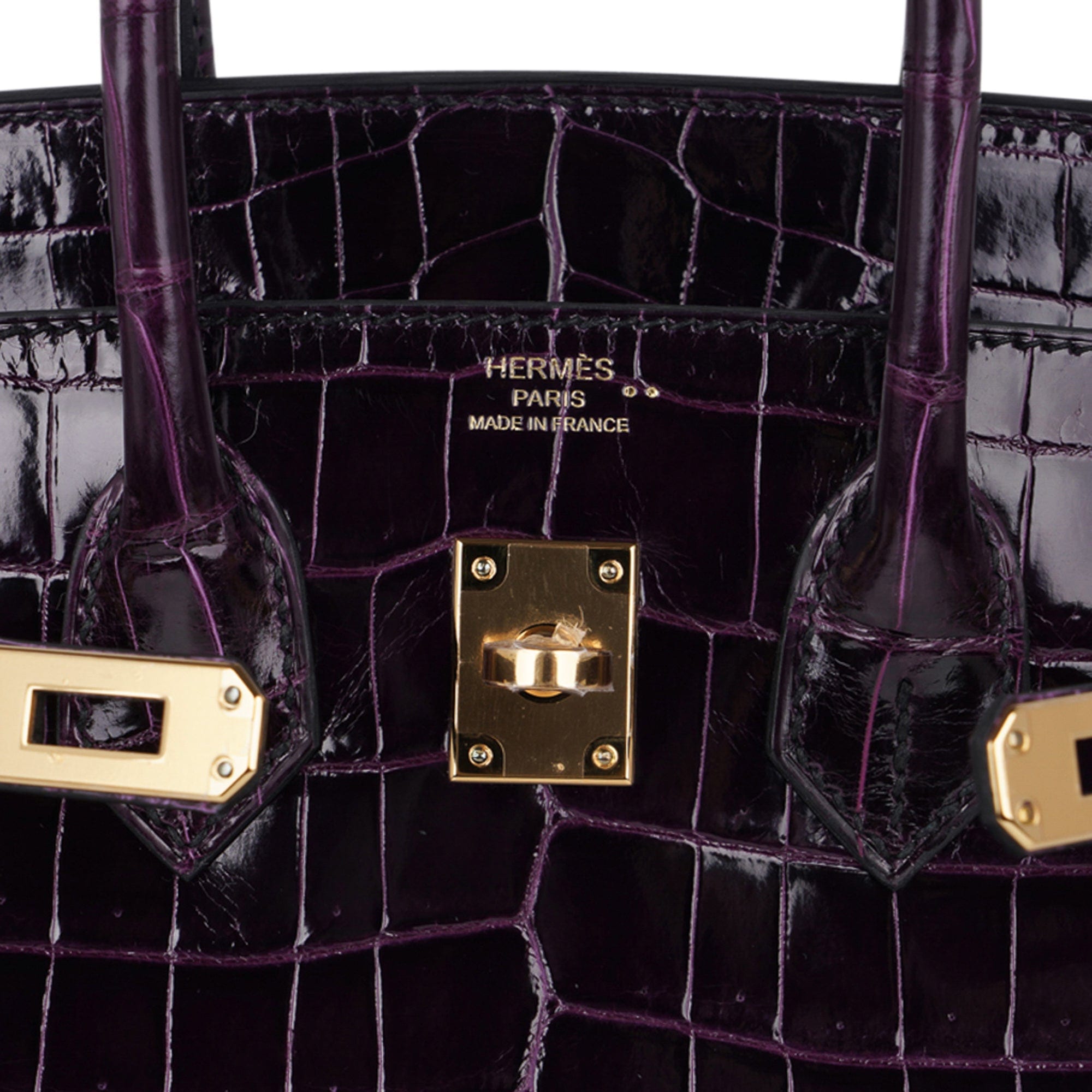 Eggplant Purple Hermes Birkin Bag