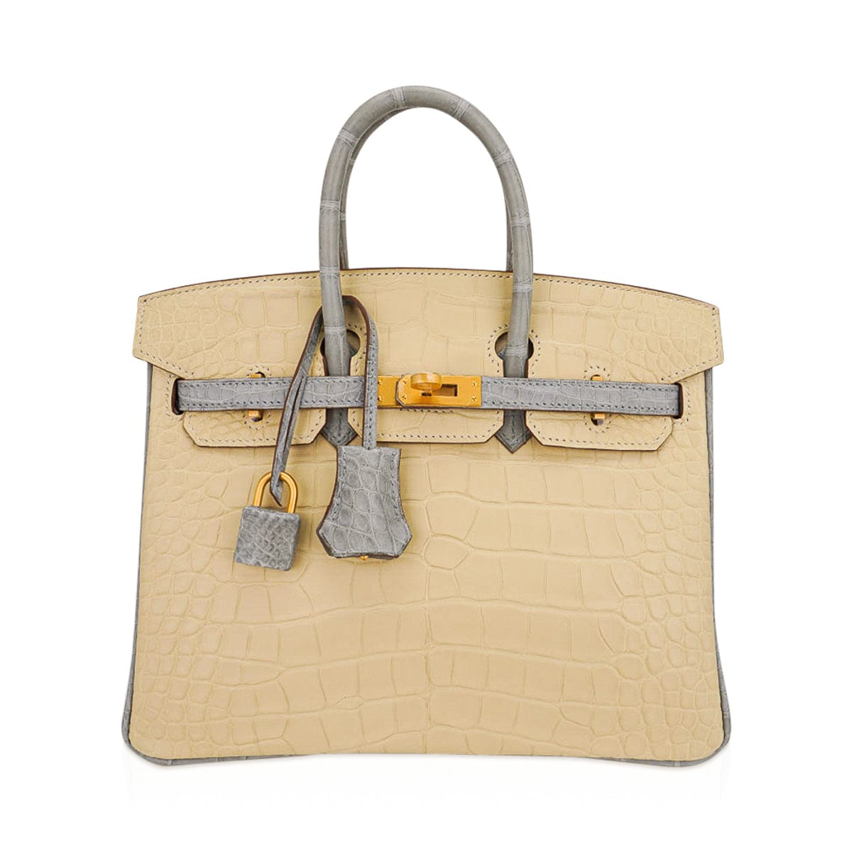 Hermes Birkin 25 Bag Gris Perle Togo Gold Hardware – Mightychic