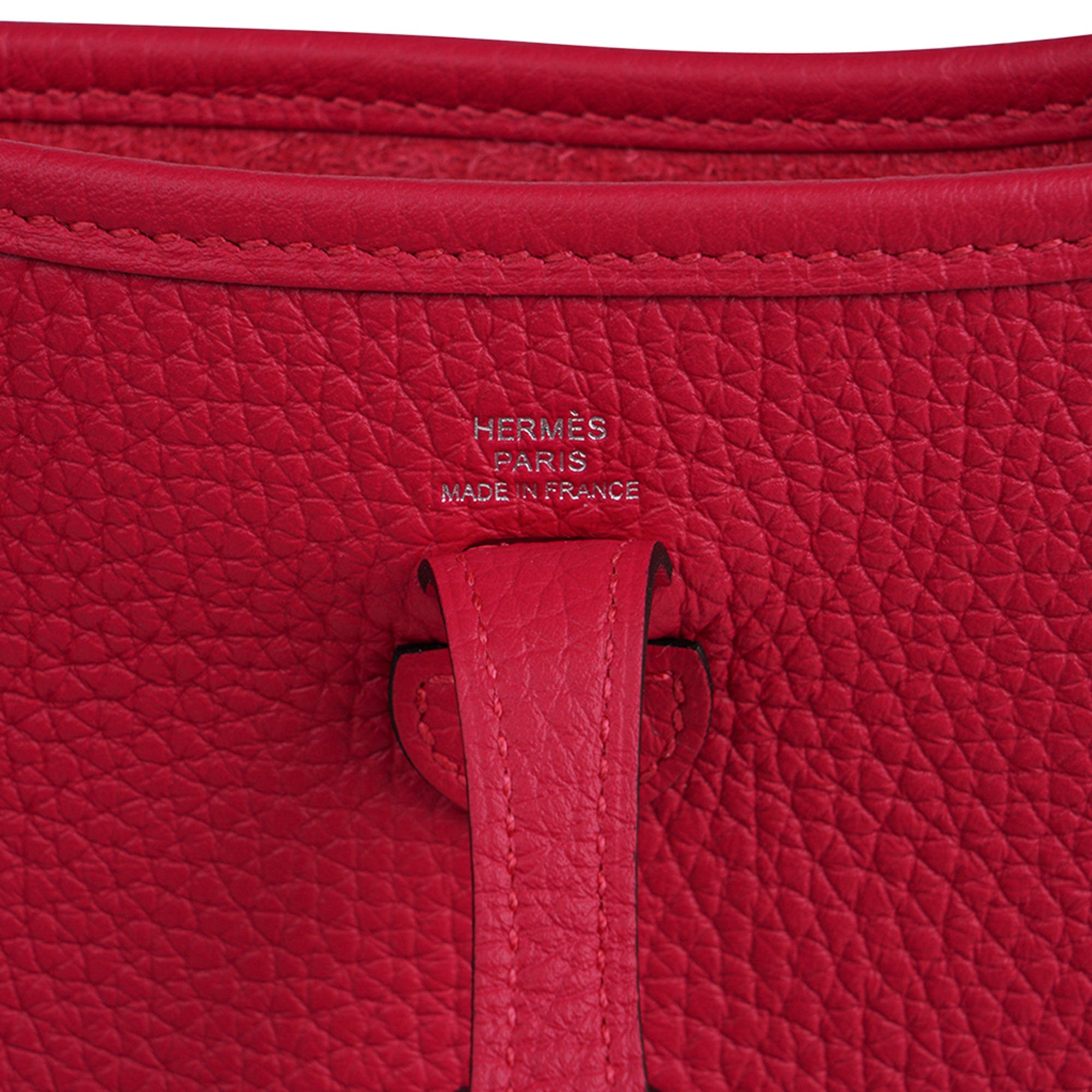 Hermes Mini Evelyne III TPM Bag Framboise Clemence Leather with Pallad –  Mightychic