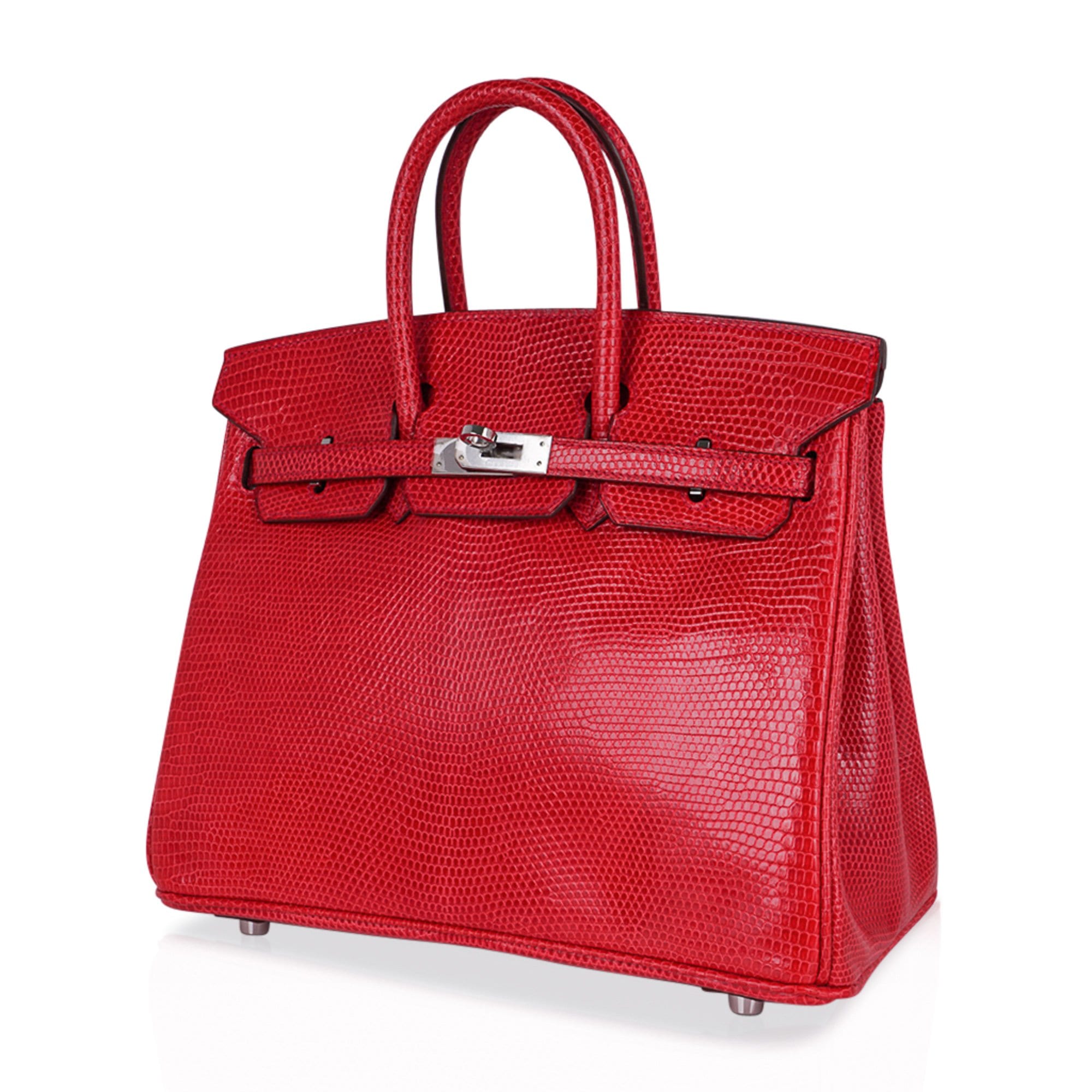 Hermes Limited Edition Birkin 25 Rouge Exotic Lizard Bag Palladium Hardware