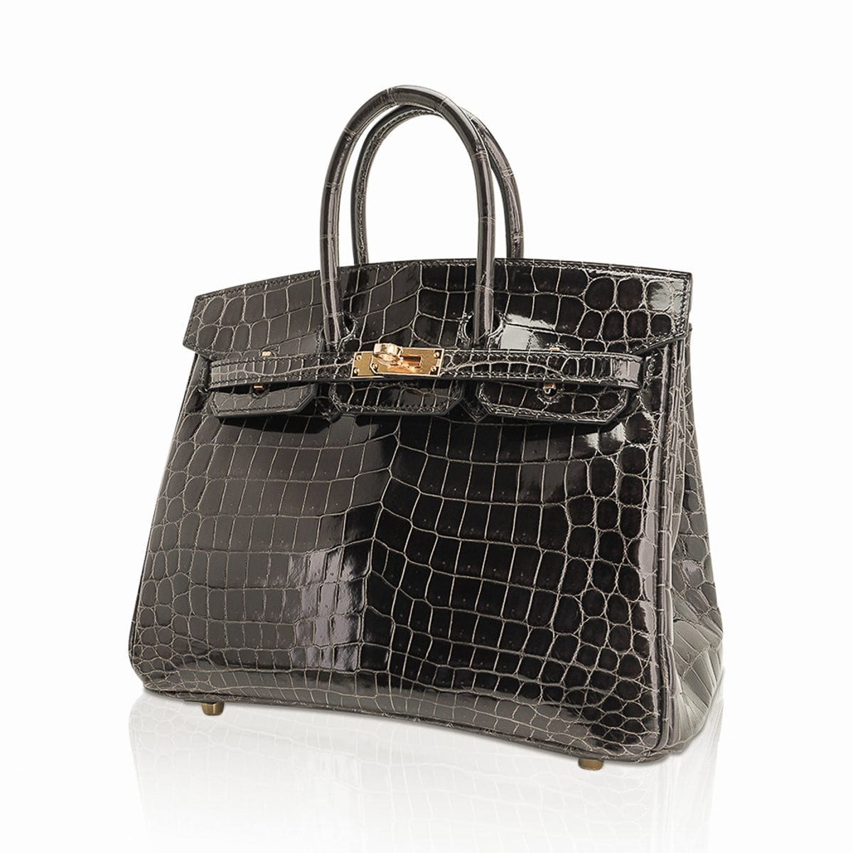 Hermes Birkin 25 Shiny Crocodile and Togo Bag