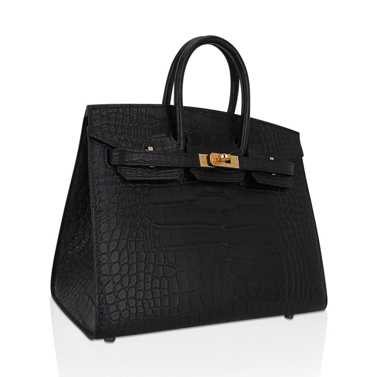 Hermes Birkin 25 Sellier Bag in Black Matte Alligator with Gold Hardware