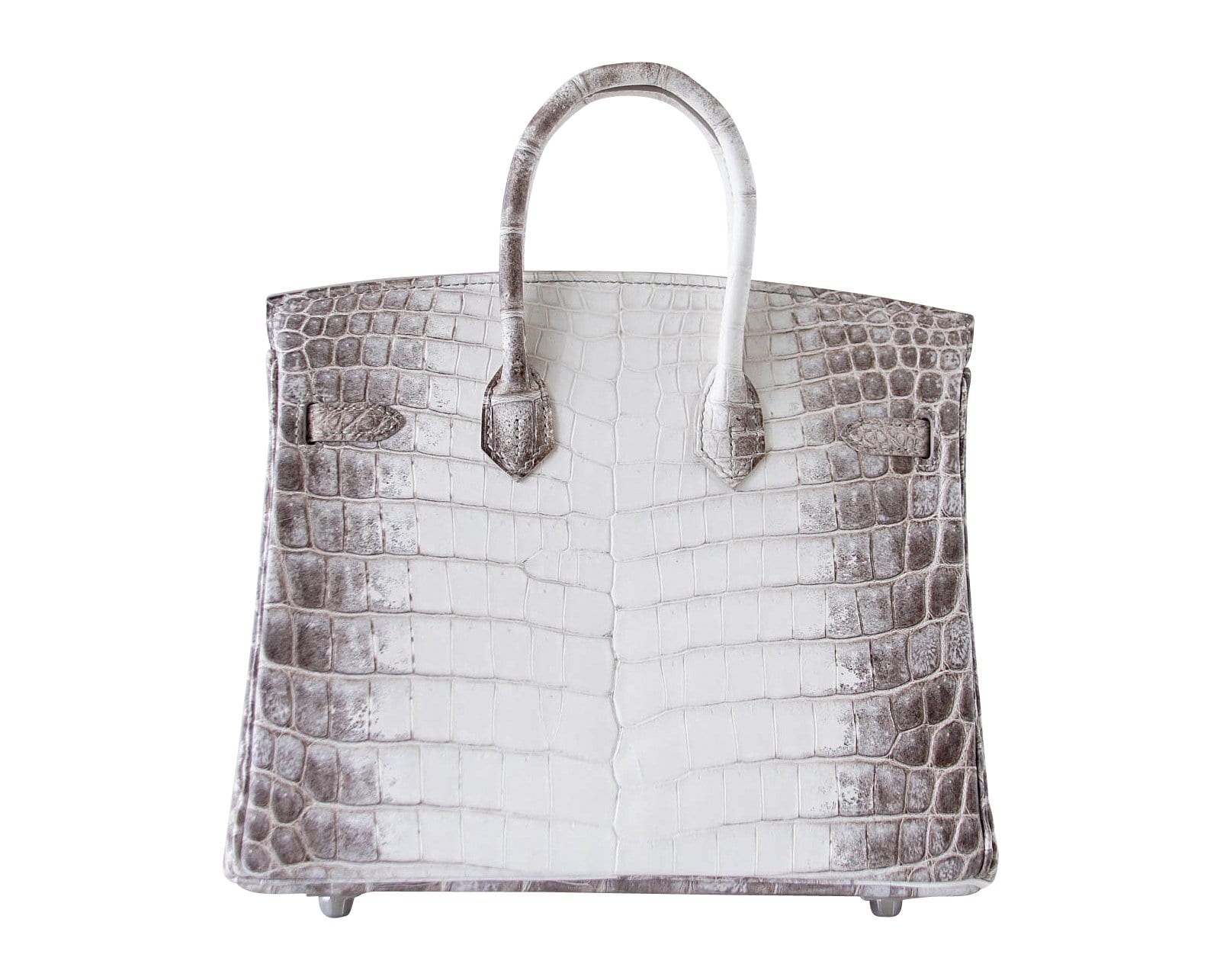 Hermes Birkin 25 Bag Blanc Himalaya Exquisite Jewel Palladium
