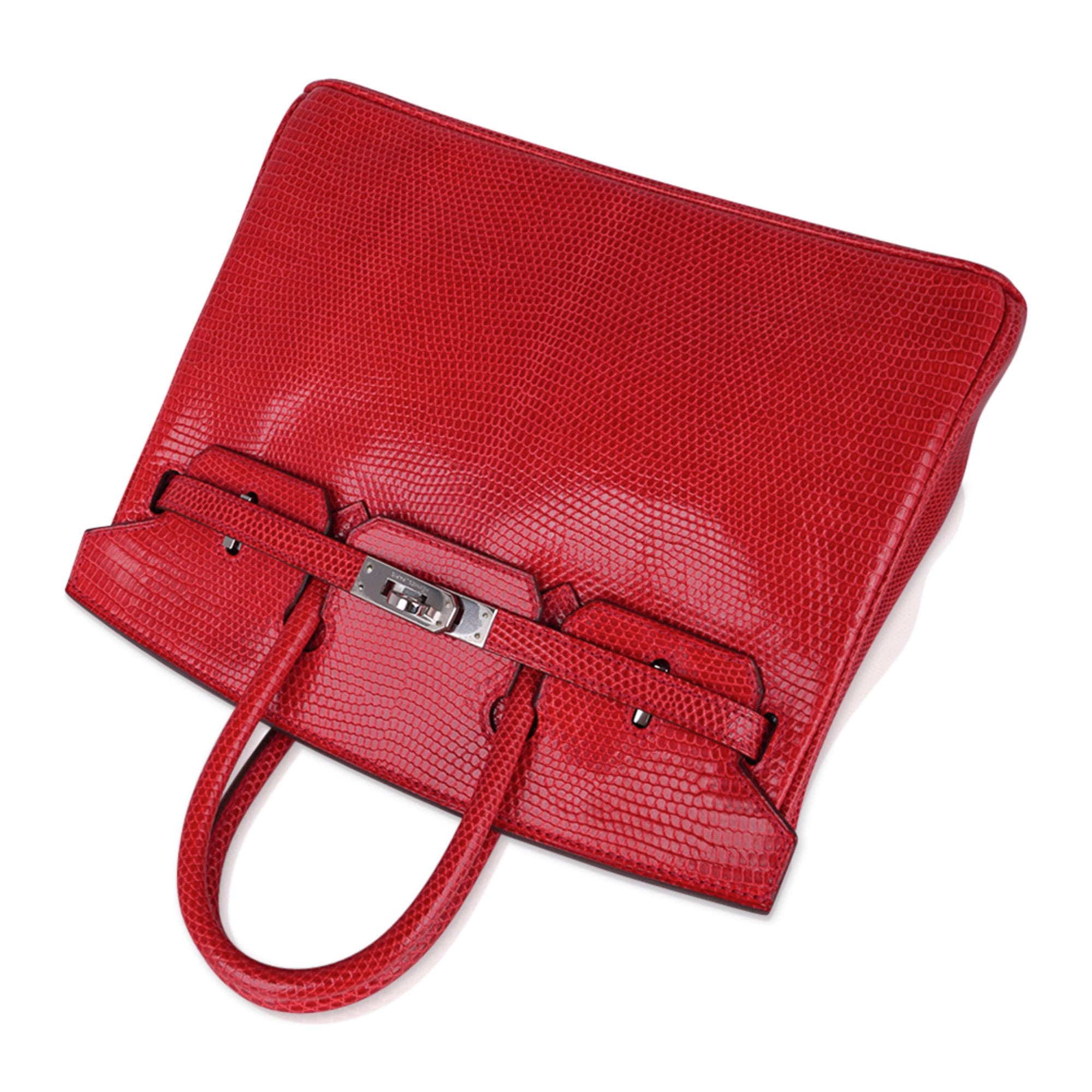 Hermes Birkin 25 Rouge Exotic Lizard Bag Palladium Hardware