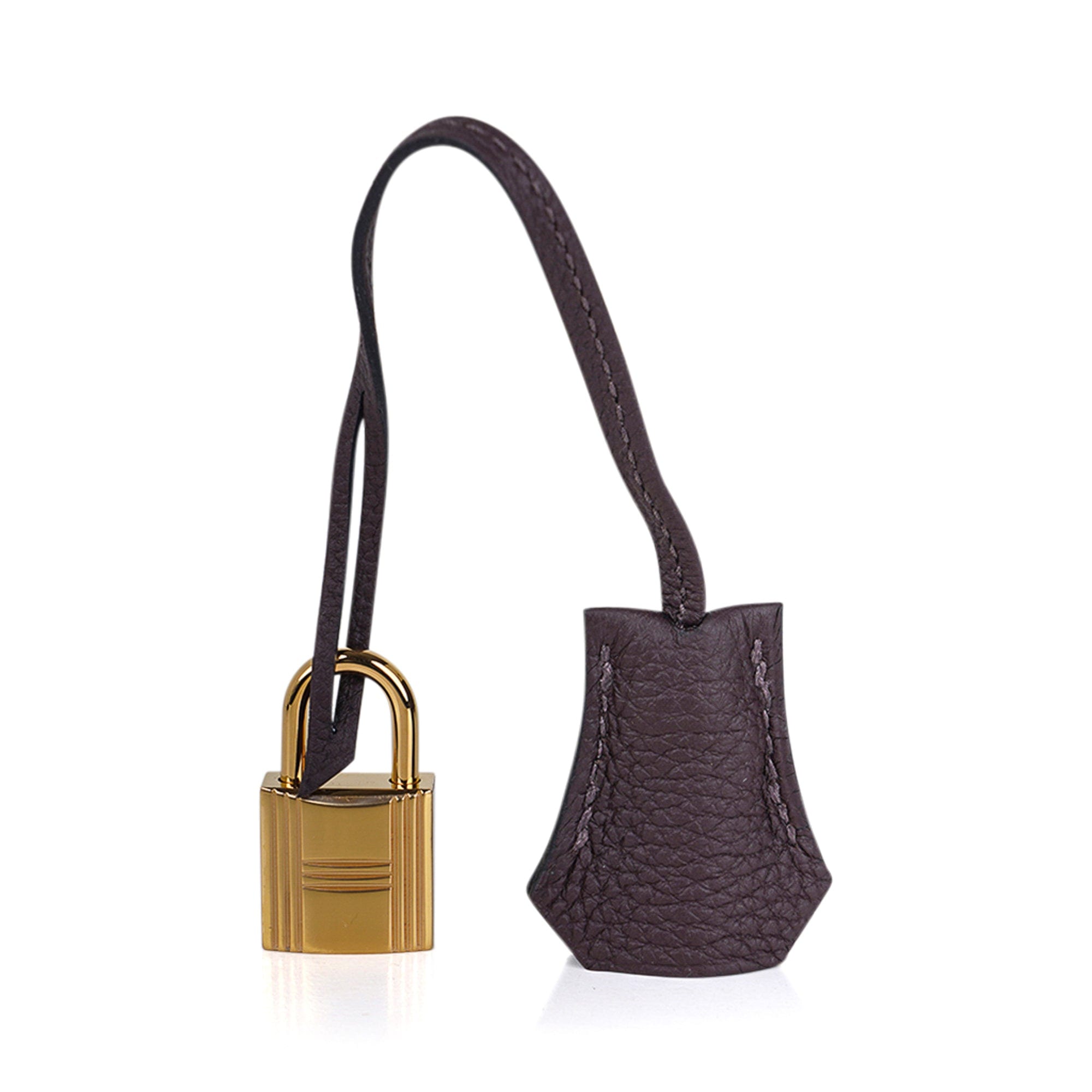 Hermes Birkin Handbag Chocolate Togo with Gold Hardware 25 Brown