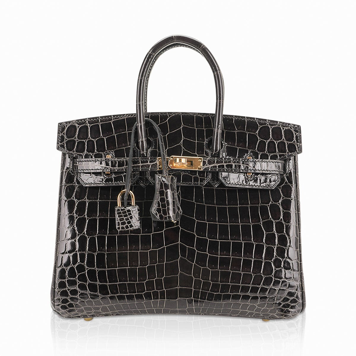 Hermes Graphite Matte Crocodile Palladium Birkin 25 Handbag
