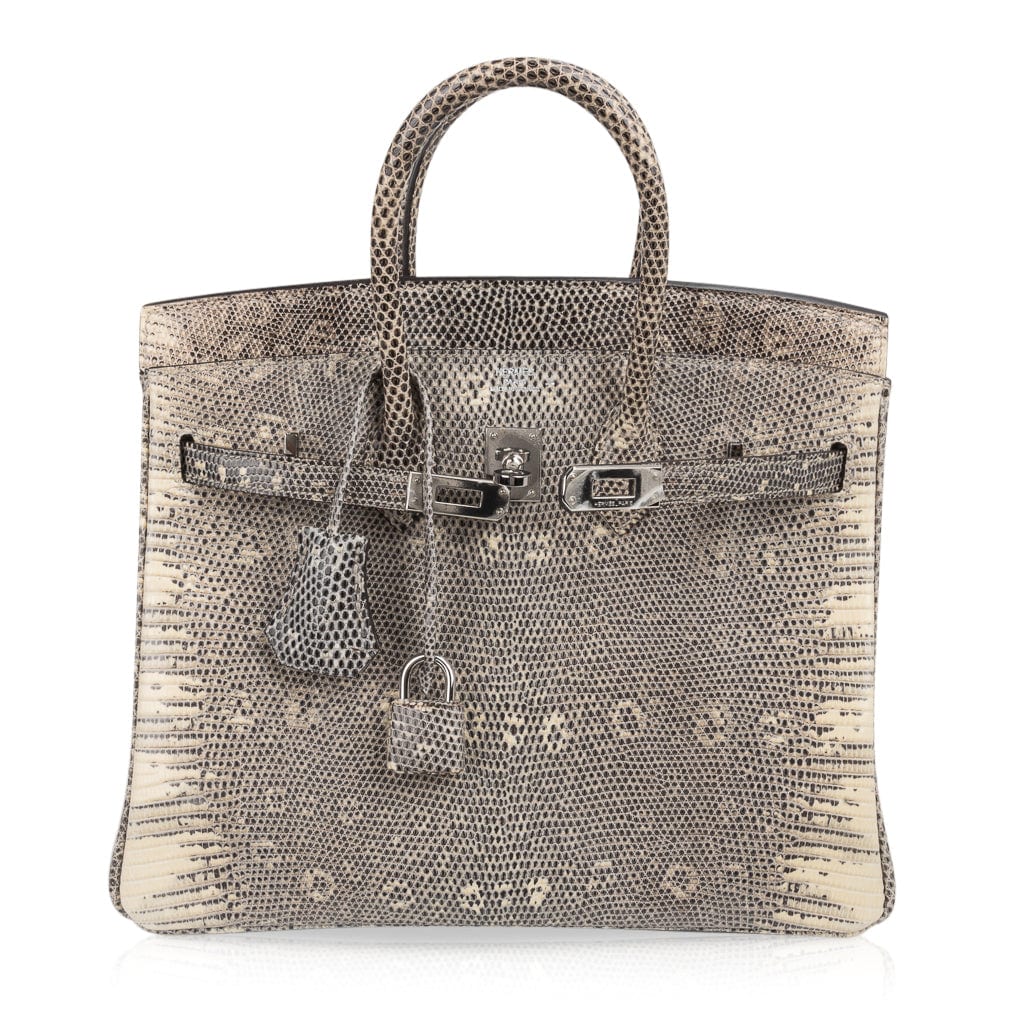 Hermes Extremely Rare 25cm Ombre Lizard Birkin Bag with Palladium