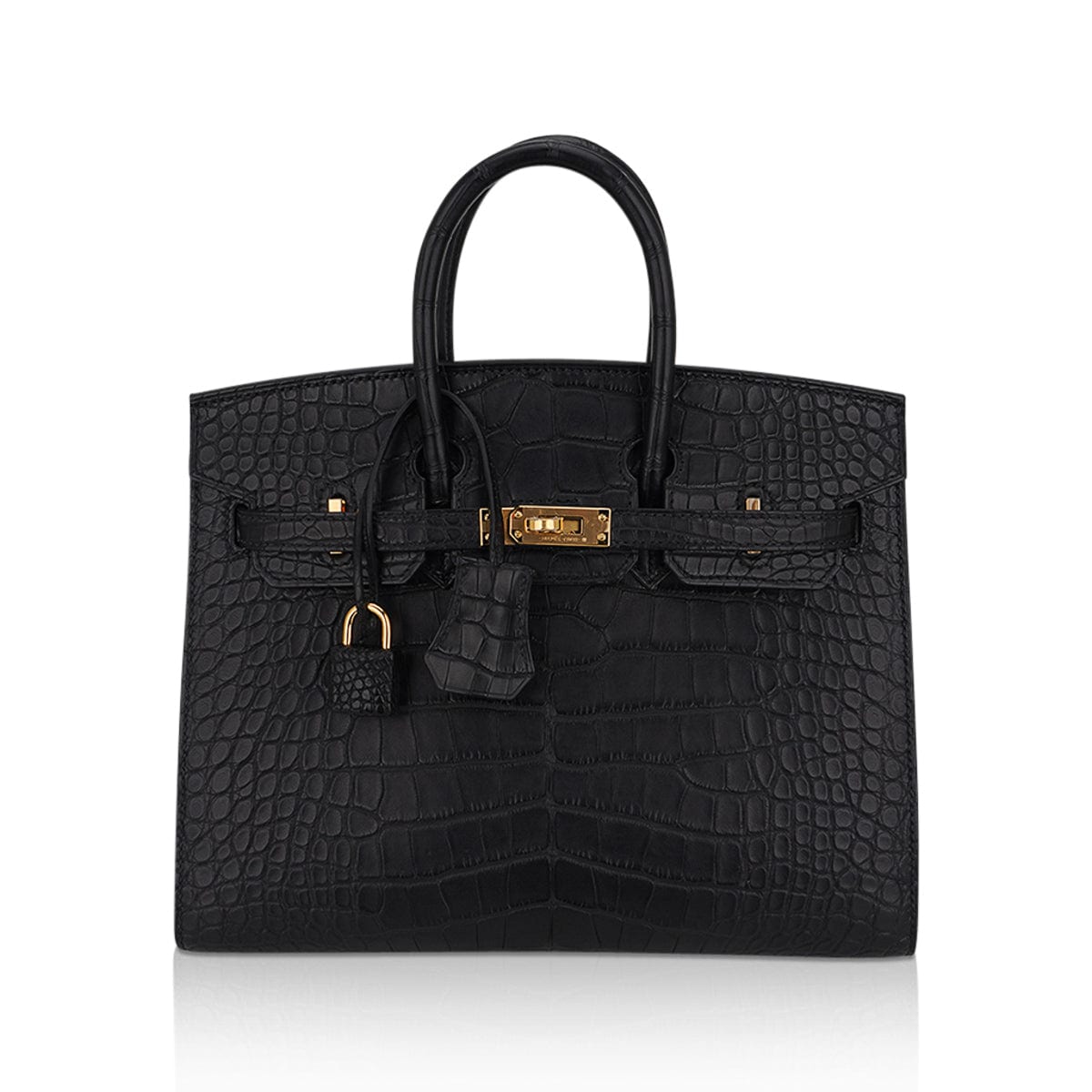 Hermes Birkin 25 Sellier Bag in Black Matte Alligator with Gold