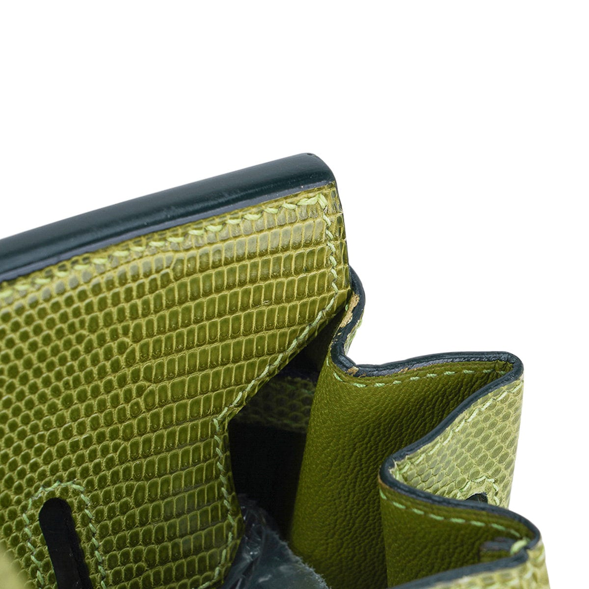 Hermes Limited Edition Birkin 25 Bag in Vert Anis Lizard with Palladiu –  Mightychic