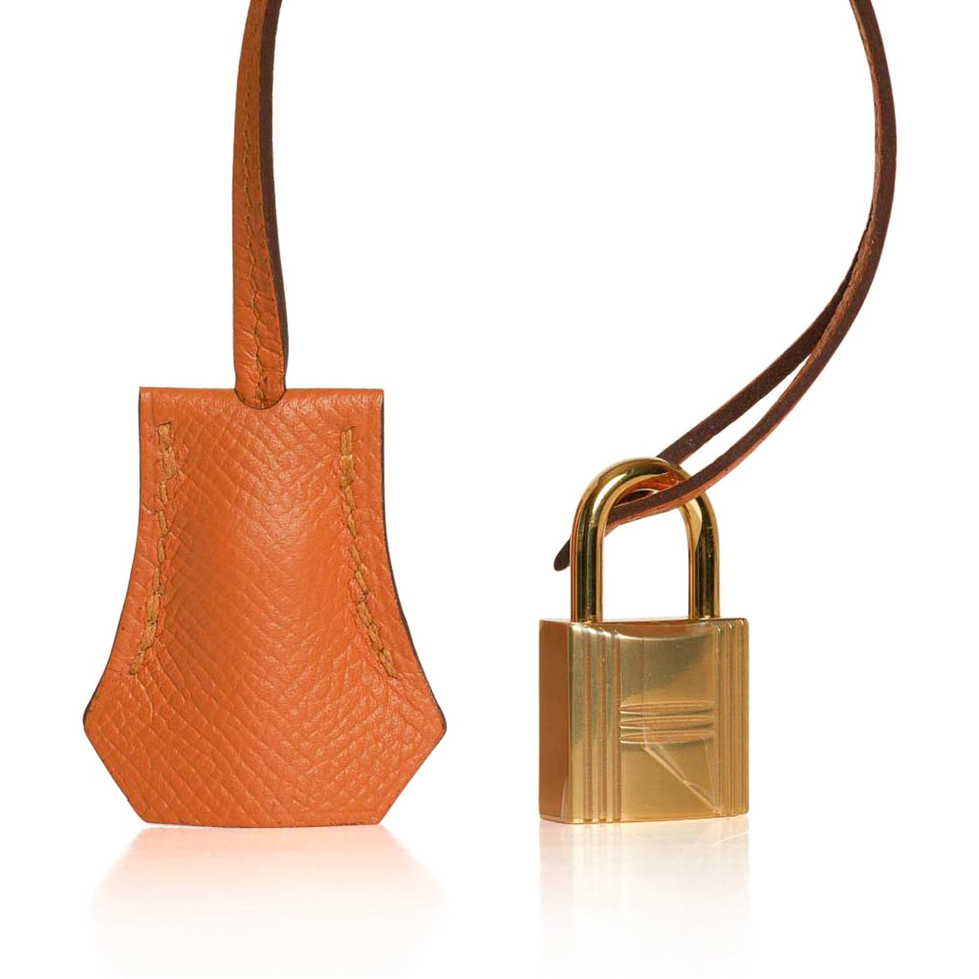 Hermes Birkin 30 Bag Capucine Gold Hardware Togo Leather New w/ Box –  Mightychic