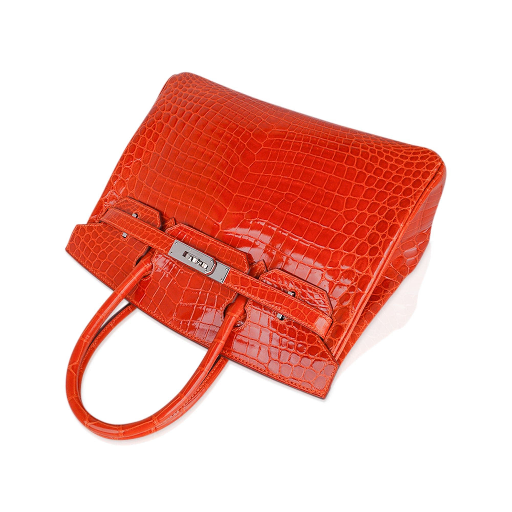 Hermes exotic skin handbags from the Bags of Luxury collection