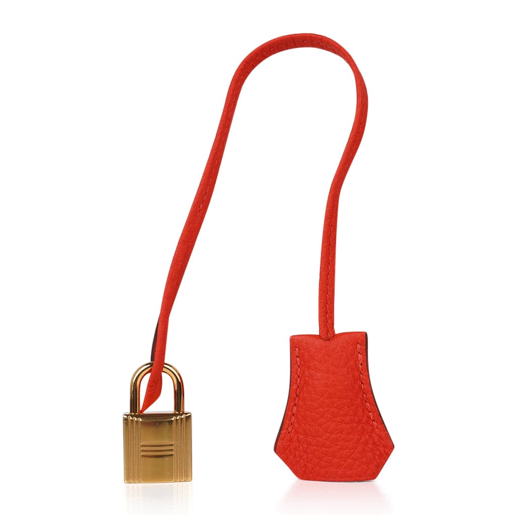 Red Capucine Hermes Togo 35 Birkin Bag – Designer Revival