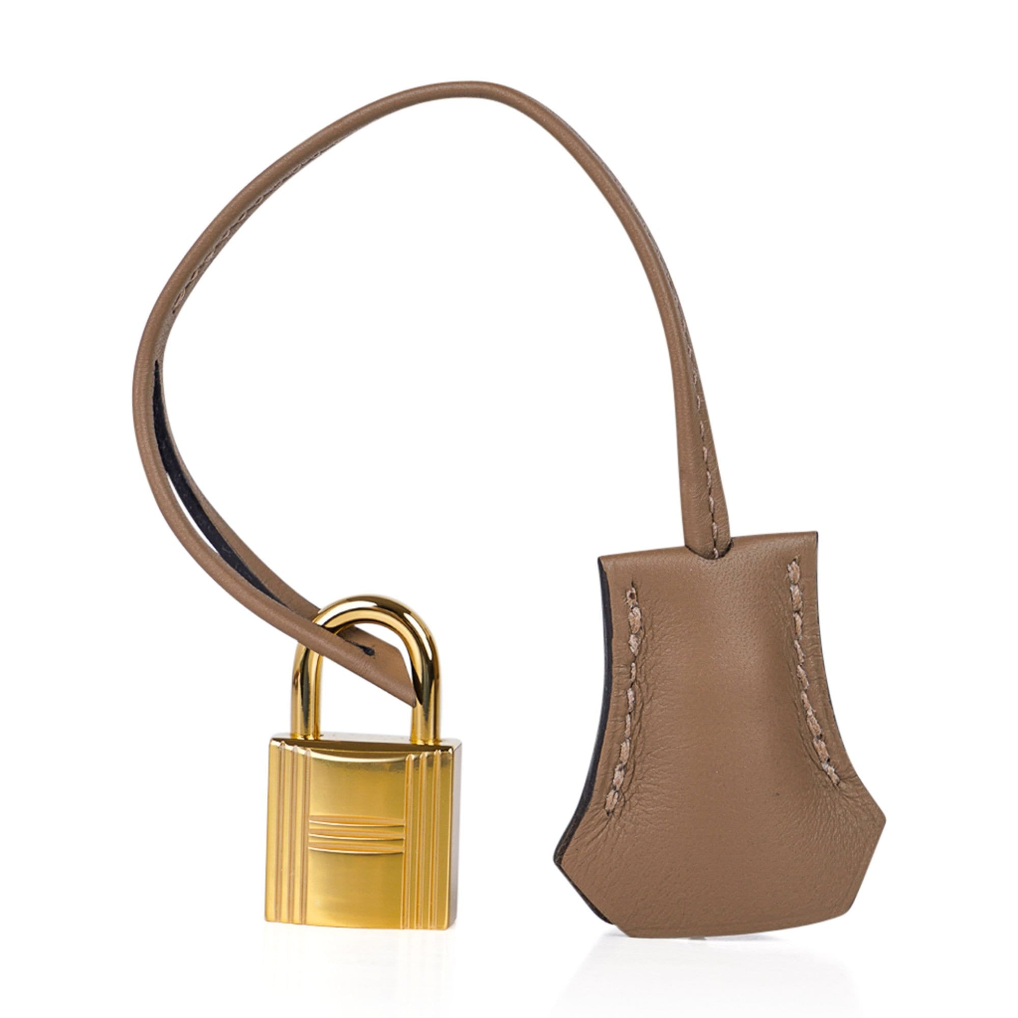 Hermes Birkin bag 25 Graphite Jonathan leather Gold hardware
