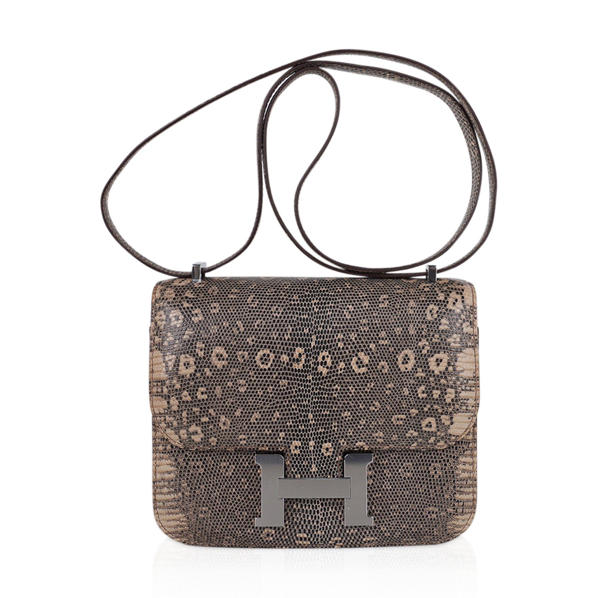 Hermes Ombré Lizard Constance Mini 18/19 Handbag Bag