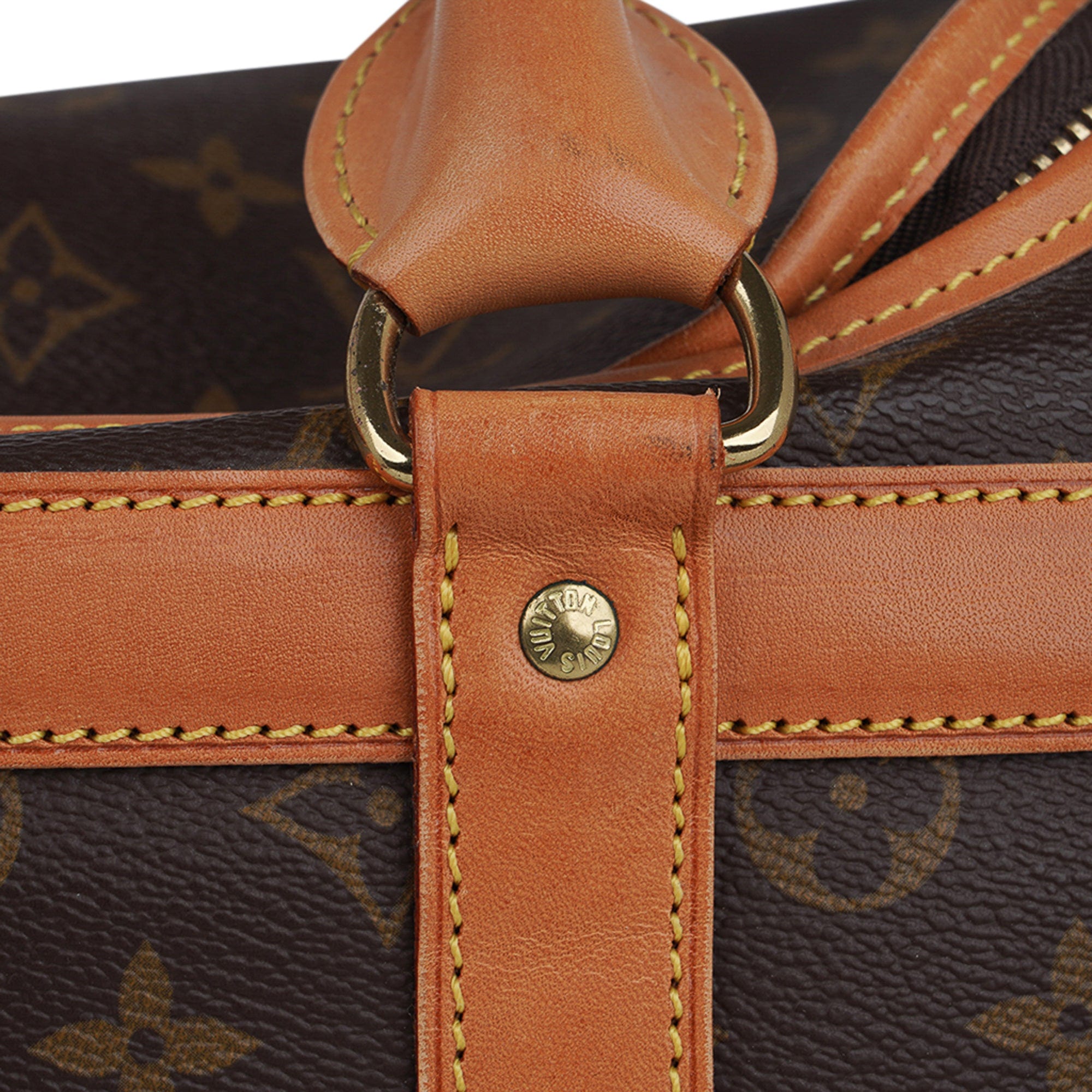 Louis Vuitton Lv Designer Pet Carrier Travel Bag