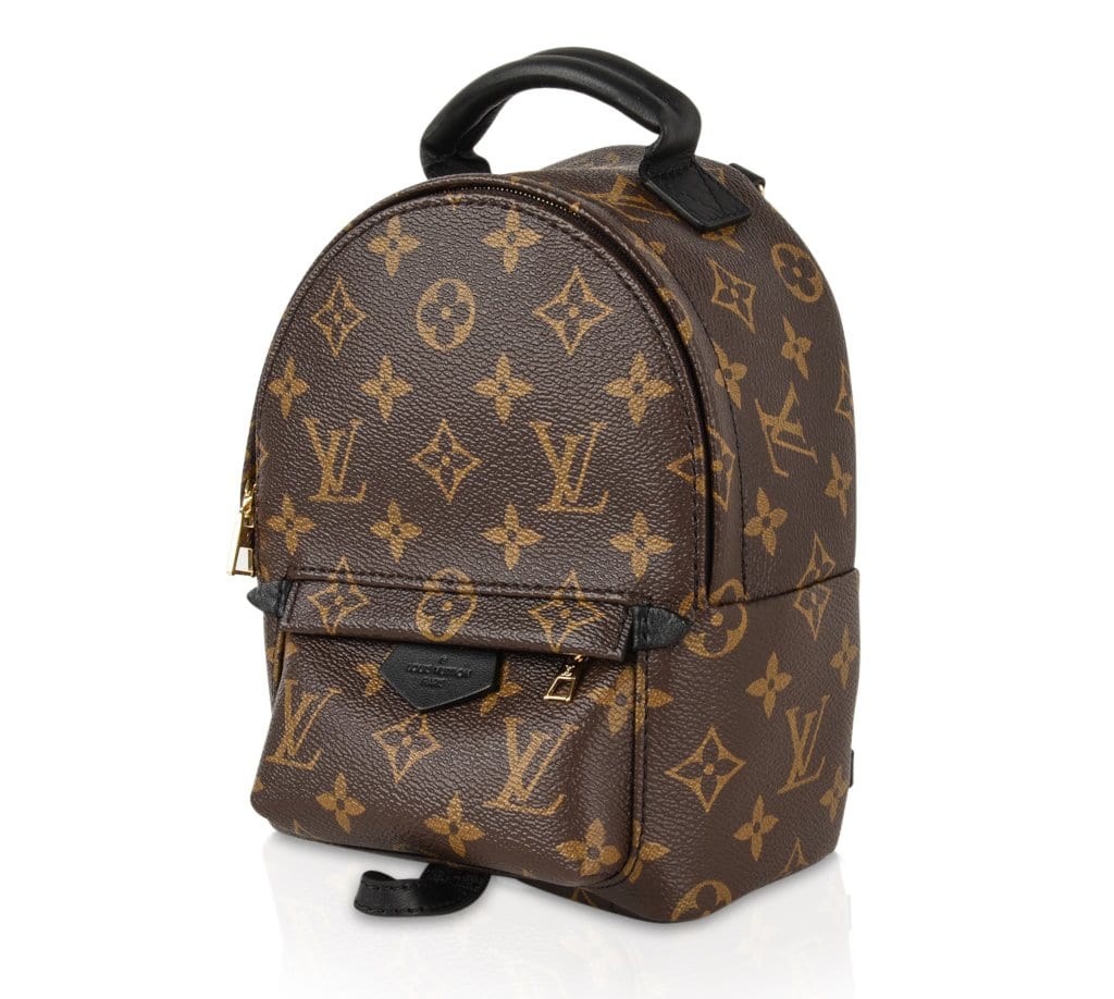 Louis Vuitton Bag Palm Springs Mini Monogram Backpack - mightychic