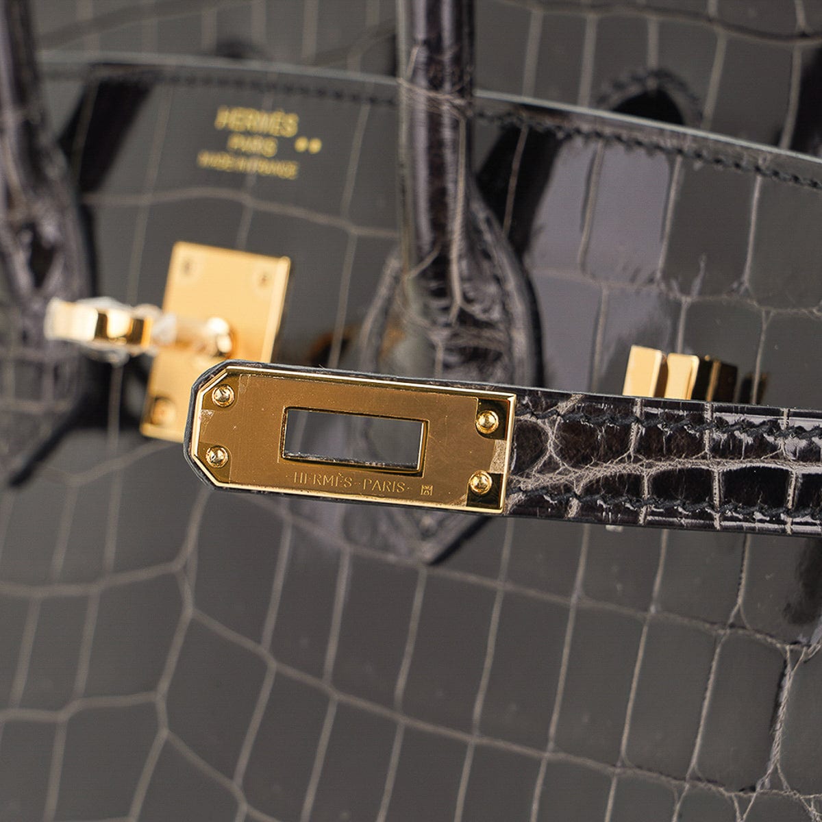Hermes Birkin 25 Bag Emerald Crocodile Gold Hardware • MIGHTYCHIC