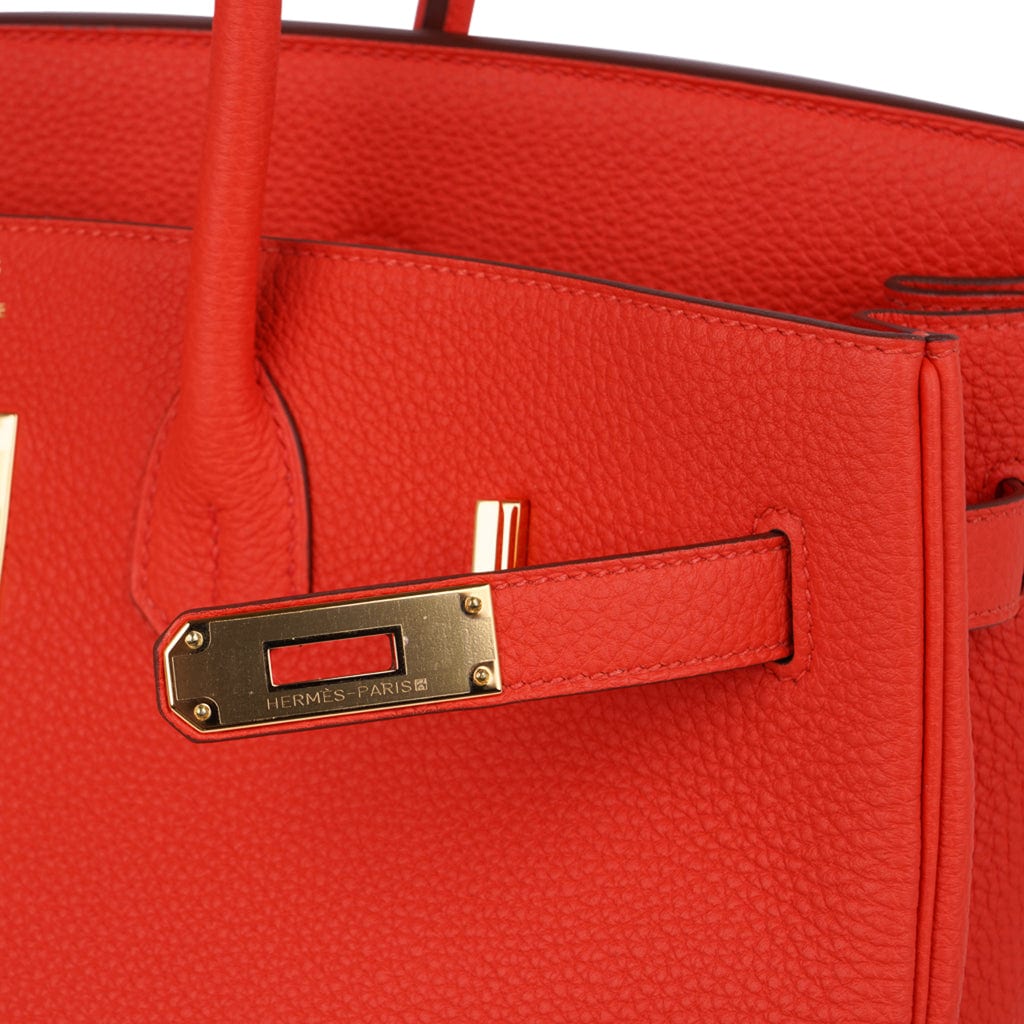 Hermes Birkin 35 Bag Capucine Togo Leather with Gold Hardware – Mightychic