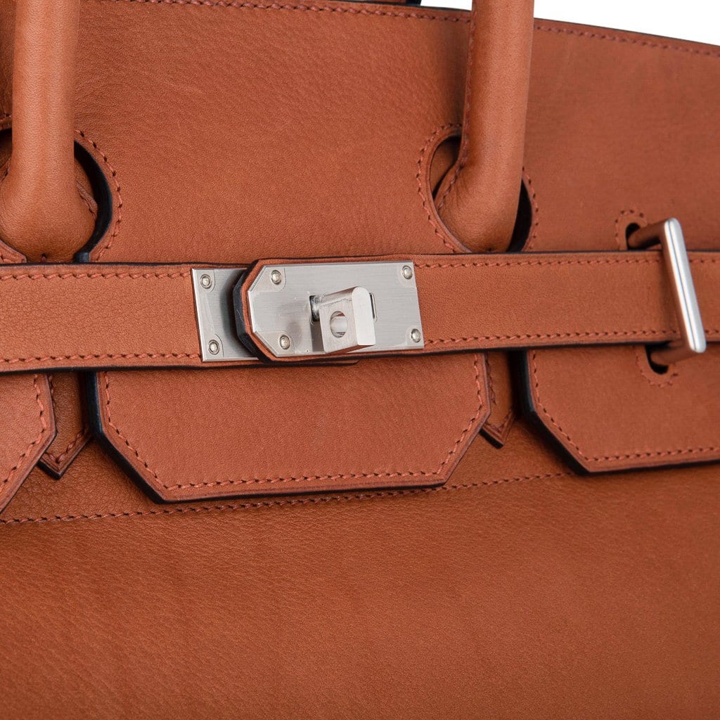 Hermes Birkin Bag Togo Leather Palladium Hardware In Orange
