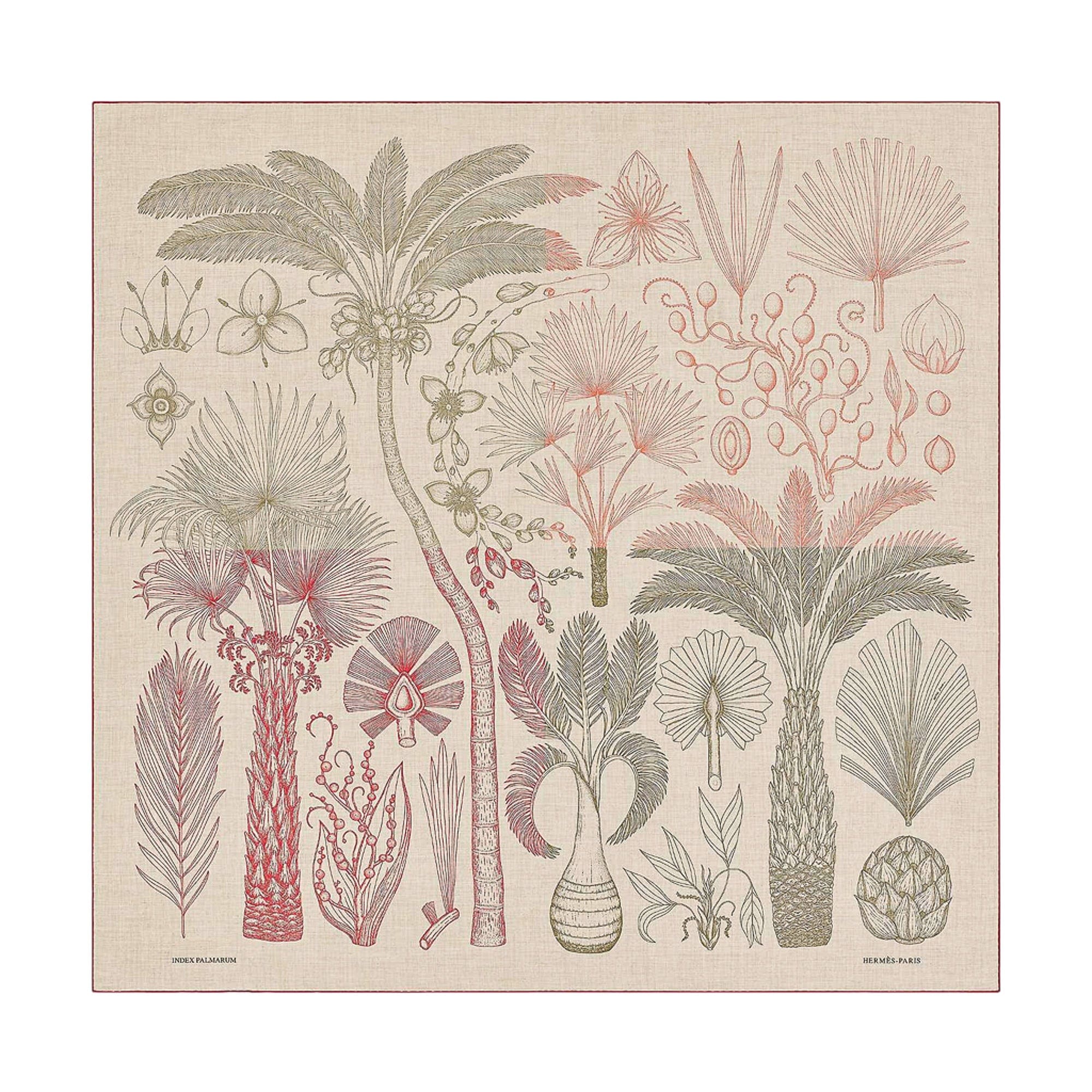 Hermes Index Palmarum Shawl Cashmere Scarf 140 | Mightychic